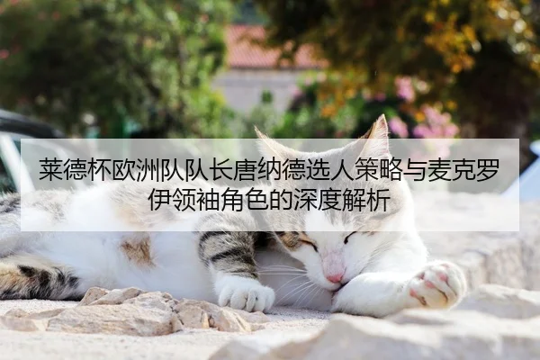 莱德杯欧洲队队长唐纳德选人策略与麦克罗伊领袖角色的深度解析