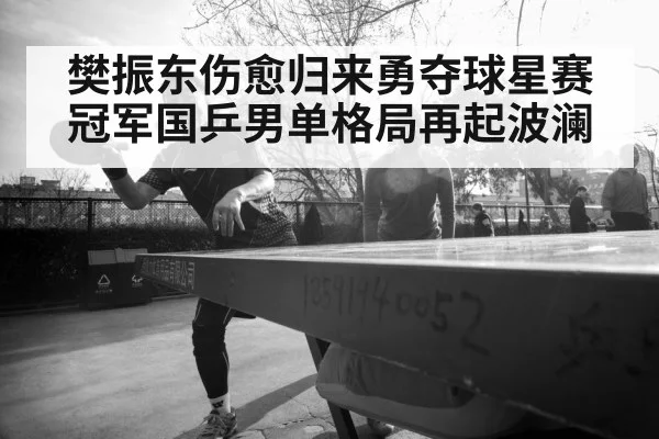 樊振东伤愈归来勇夺球星赛冠军国乒男单格局再起波澜